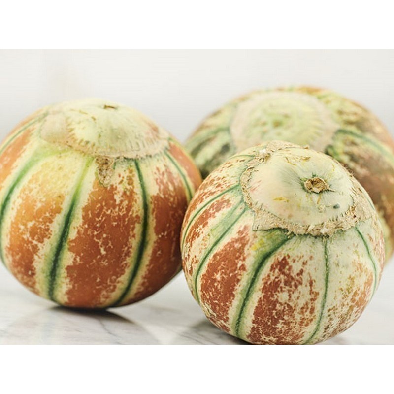 Semillas de melon KAJARI Precio €2.75