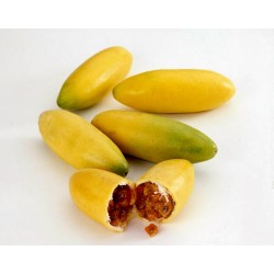 Passiflora tripartita VAR mollisima-la banana frutto della passione 20 semi freschi 