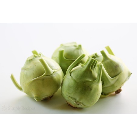 1.25 Kohlrabi Seeds "Best of All"