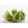 1.25 Kohlrabi Seeds "Best of All"