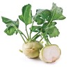 1.25 Kohlrabi Seeds "Best of All"