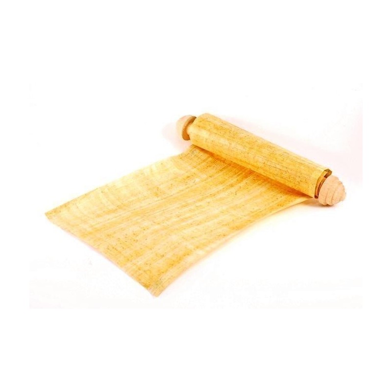 2.35 Papyrus Sedge, Paper Reed Seeds (Cyperus papyrus)