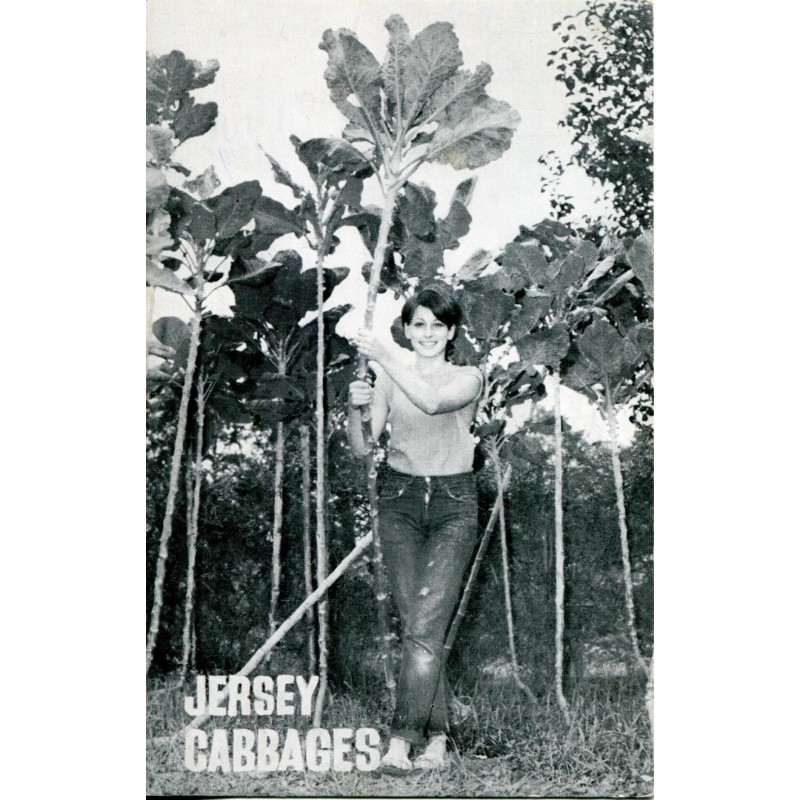 Walking Stick Kale Jersey Cabbage Seeds (Brassica oleracea...