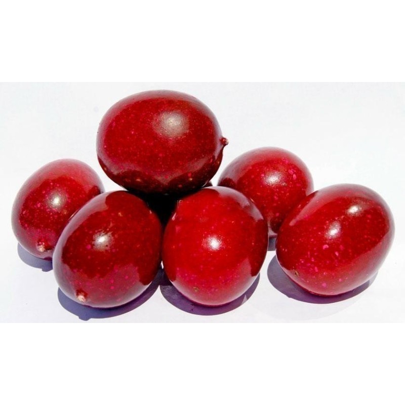Marya-Marya, Bush Passion Fruit Seeds (Passiflora foetida)|€2.35