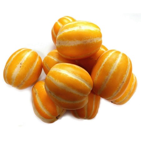 Korean melon Seeds, Sun Jewel, Chamoe Seeds Gallery - 2