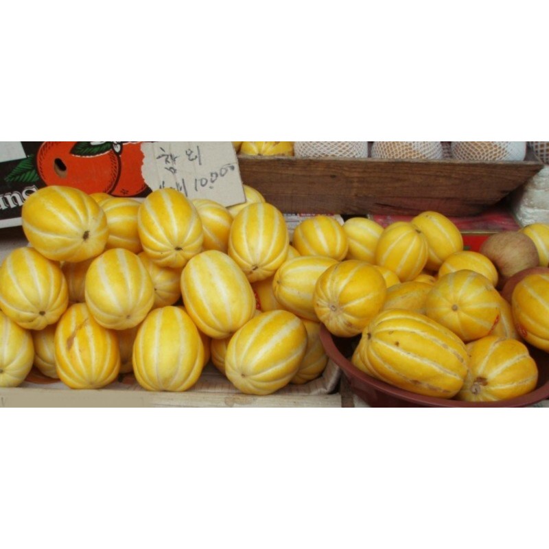 Semi Di Melone Coreano, Sun Jewel, Chamoe Seeds Gallery - 3