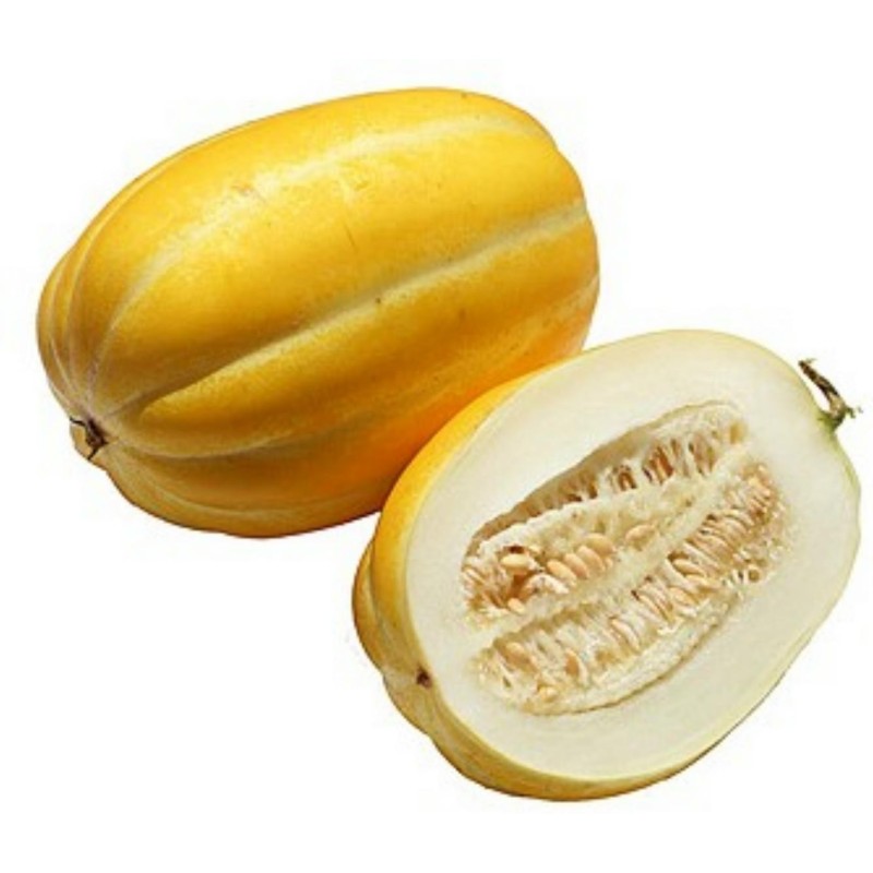 Sun Jewel , Chamoe, Korea Melone Samen Seeds Gallery - 4