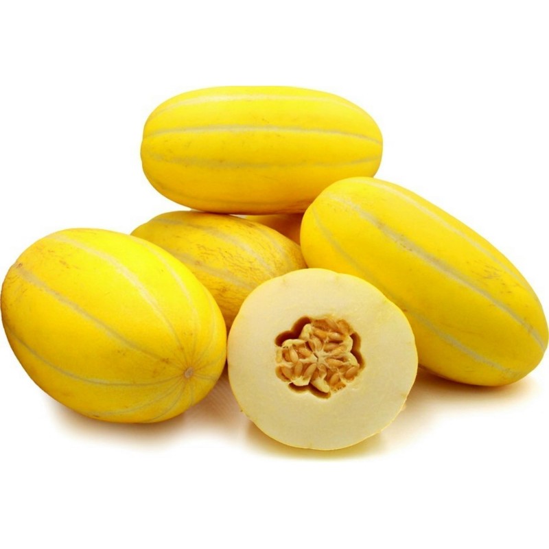 Koreanska Melon Frö, Sun Jewel, Chamoe Seeds Gallery - 1