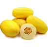 Semi Di Melone Coreano, Sun Jewel, Chamoe Seeds Gallery - 1