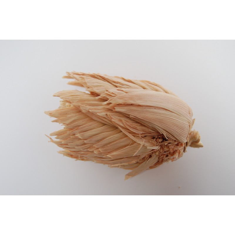Σπόροι Zea mays, var. tunicata (Pod Corn) | Price: 1,95 € 🌳🌼🌸🌿🌱🍉