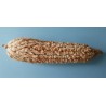 Σπόροι Zea mays, var. tunicata (Pod Corn) | Price: 1,95 € 🌳🌼🌸🌿🌱🍉