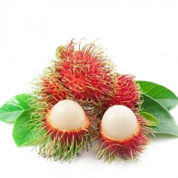 Rambutan Fresh Seeds Exotic Fruits