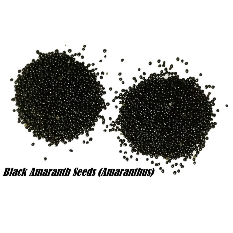 1.35 Black Amaranth Seeds (Amaranthus)