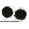 1.35 Black Amaranth Seeds (Amaranthus)