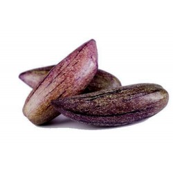 Σπόροι Μωβ ΠΕΠΙΝΟ - Σπάνιος Γίγαντας (Solanum muricatum)