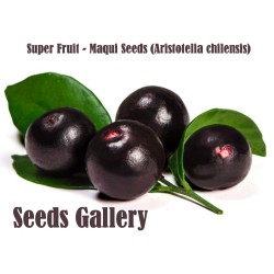 2.85 Semi di Maqui Super frutta (Aristotelia Chilensis)