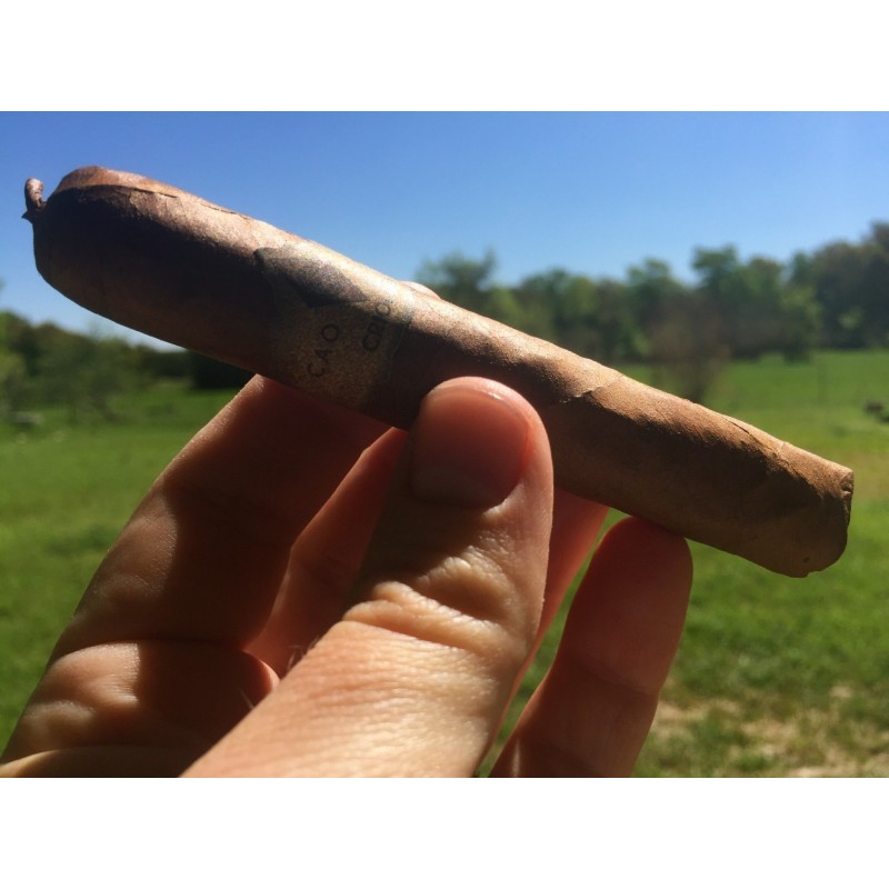 C. Criollo 98 Tobacco Seeds  - 3