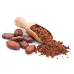 Trozos de cacao crudos - los mejores antioxidantes