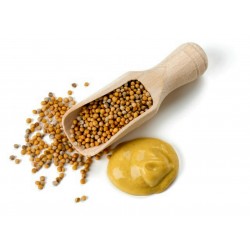 Spezie di senape gialla - senza campo 1.25 - 1