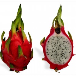 Semillas de Pitahaya, Dragon Fruit, Pitaya 2.35 - 6