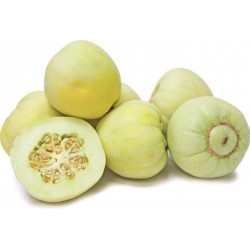 Japanese Heirloom Melon Seeds “Sakata's Sweet” 2.35 - 1