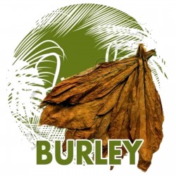 Burley Tobaksfrön kakao arom 1.95 - 1