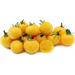Σπόροι Ντομάτα Garden Peach 1.95 - 1