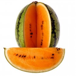 Оранжевый арбуза Семена "Tendersweet" 1.95 - 3