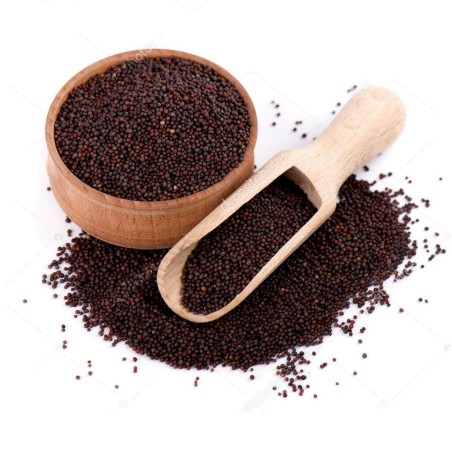 1.45 Graines de Moutarde noire (Brassica nigra)