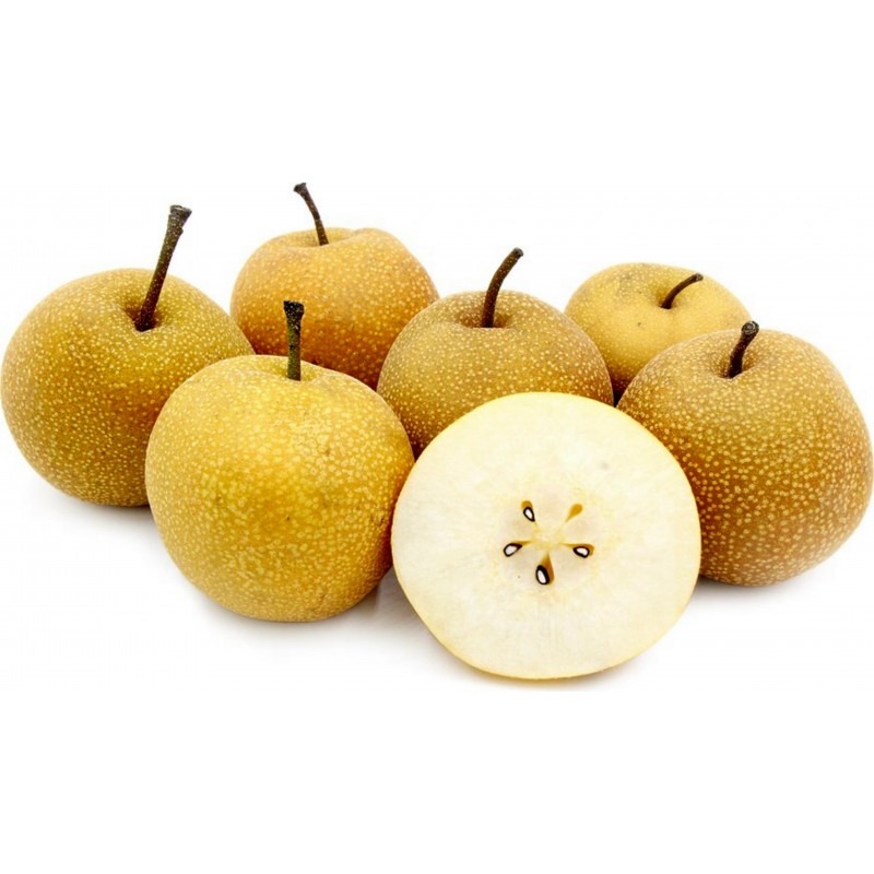 Asian Pear Seeds - Chinese Sand Pear | Price: €3.00 🌳🌼🌸🌿🌱🍉