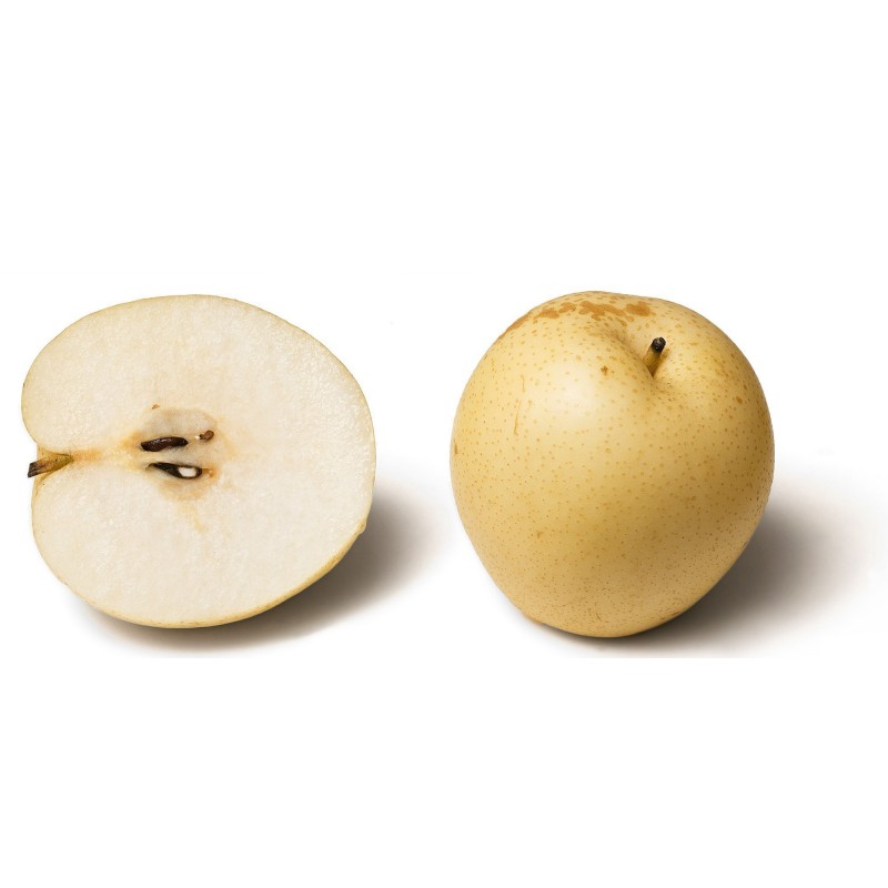 Asian Pear Seeds - Chinese Sand Pear | Price: €3.00 🌳🌼🌸🌿🌱🍉
