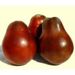 1.85 Semi di pomodoro al tartufo nero