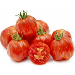 Graines de Tomate STRIPED STUFFER 1.65 - 7