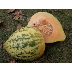 Eel River melon frön 2.049999 - 4
