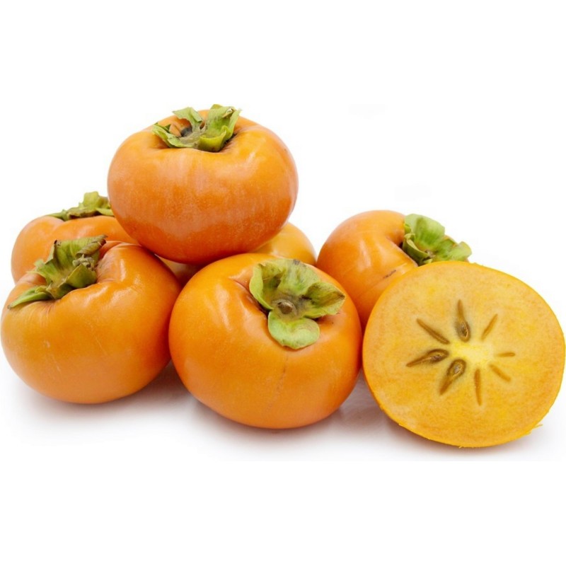 Sementes de American persimmon (Diospyros virginiana)  - 1