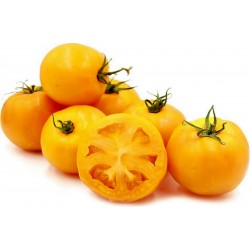 Семена томатов "Золотой юбилей" 1.55 - 2