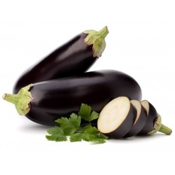 Medium Long Eggplant Seeds