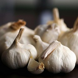 German Extra Hardy Garlic cloves 2.95 - 1