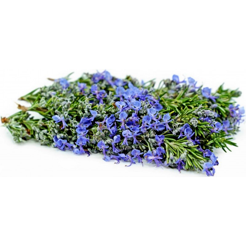 Rosemary Seeds (Rosmarinus officinalis) | Price: €2.50 🌳🌼🌸🌿🌱🍉