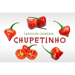 Biquinho - Chupetinho Red or Yellow Chili Seeds 2.05 - 7