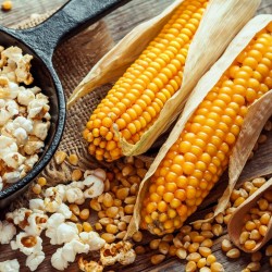100 Σπόροι Popcorn - Αναπτύξτε τη δική σας 3 - 3