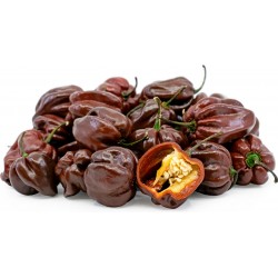 Habanero Шоколад Семена 2 - 3
