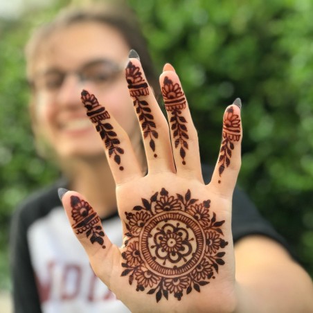 Henna, Henna Tree Seeds (Lawsonia inermis) | Price: β¬2.50 π³πΌπΈπΏπ±π