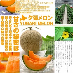 Yubari King Melon Frön Den dyraste frukten på världen 7.45 - 1