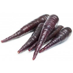 Семена Гигантские Моркови Фиолетовый Дракон 1.55 - 8