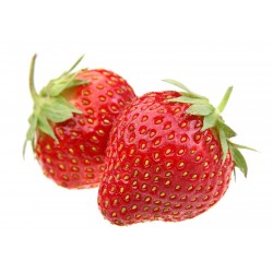 Hur odlar man jordgubbar från frö 0 - 1