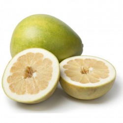 Pomelo Seme (Citrus Grandis decumana) 1.95 - 4