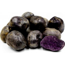 Graines de pommes de terre violettes péruviennes 3.05 - 6