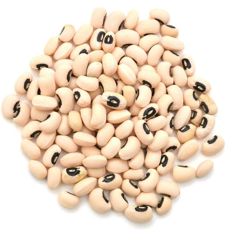 Semi di Cowpea (Vigna unguiculata)  - 1