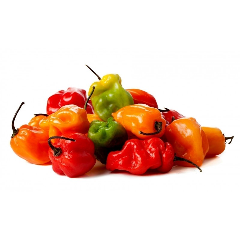 Перец Habanero красный, желтый, оранжевый семена - Цена: €1.85